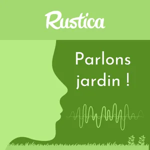 Faire face à la canicule au jardin