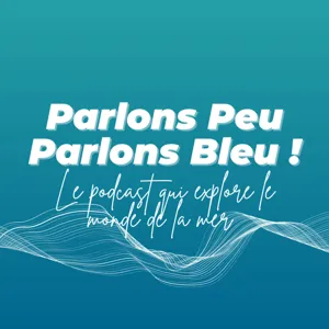 #12 - Jacques Barreau, Directeur Général de Grain de Sail. Transporter du chocolat à l'autre bout du globe en réduisant les émissions de CO2