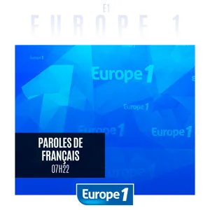 Législatives : que doit faire le nouveau président de la République ?