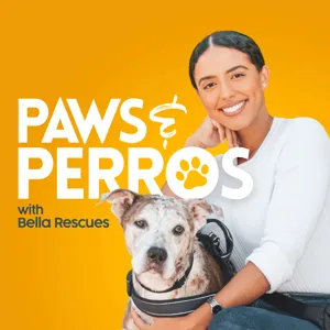 3 Days To Rescue A Dog Or Be Put To Sleep | Listener Liz Melendez shares How She Saved A Dog From Puerto Rico