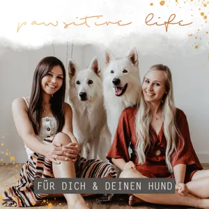 #133 Freundschaft unter Hunden