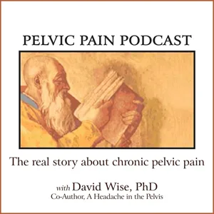 The Wise-Anderson Protocol significantly reduces symptoms  of chronic pelvic pain syndrome in a majority of those who practice it (study)