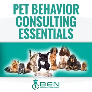 How To Be a Behavior Consultant Pet Owners Want to Hire