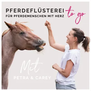 (Jungpferde) Einfach Reiten!