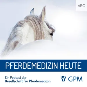 Trailer - Pferdemedizin heute