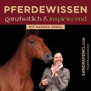 Gesundheitsprobleme beim Pferd vermeiden  - mit Tierärztin Veronika Klein