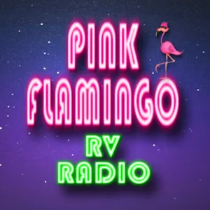 Pink Flamingo RV Radio