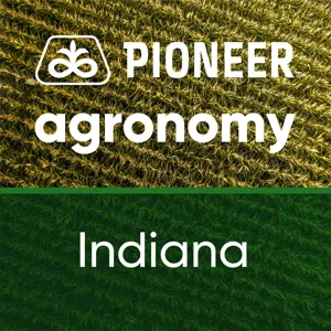 Wheat Nitrogen Management and Corn/Soy Seeding Rate Considerations