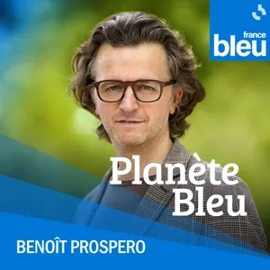 Et si on faisait une fresque du climat ?