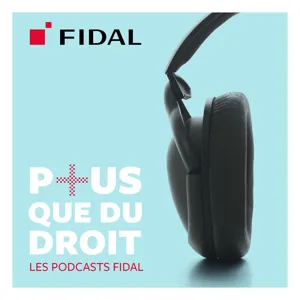 Episode 2 - La pénalisation du contrôle fiscal