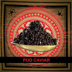 Pod Caviar | S8E9: 38 Rainy L.A. Recipe Ideas