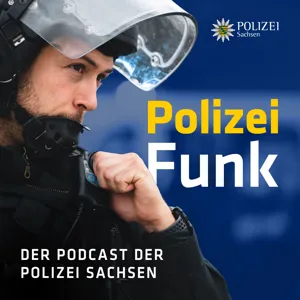 15 | Verlorene Schlüssel, ein toter Fuchs und ein Tankstellenräuber – Bei Rico gibt es (fast) nichts, was es nicht gibt