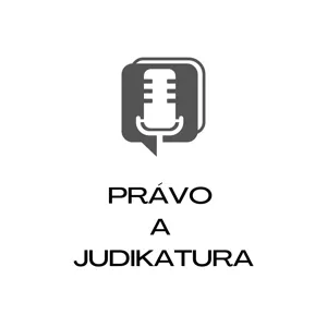 Může se insolvenční správce domáhat pojistného plnění z titulu pojištění odpovědnosti ve prospěch majetkové podstaty? #3