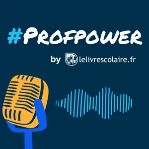 Être professeur en UPE2A, ça signifie quoi ?, rencontre avec Sophie Pecqueur