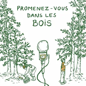 Episode 5 - Les forêts alternatives : système, résistance et courts-circuits