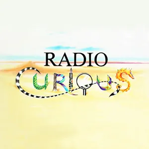 Radio Curious