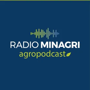 Chile Rural - Episodio 114: Plurinacionalidad y desarrollo rural en la propuesta de nueva Constitución