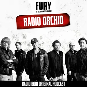 #31- Sonderfolge: Live-Podcast vom Fury-Fan-Abend