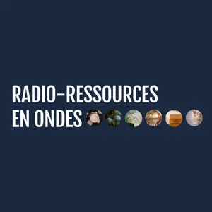 Radio-ressources en ondes