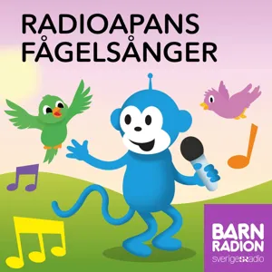 Radioapans fågelsånger: Sidensvansen