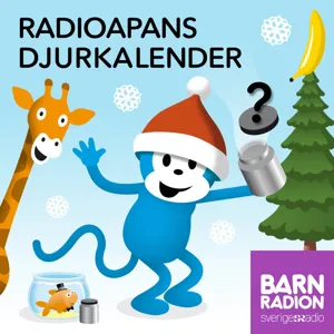 Radioapans djurkalender, del 24: En skrotig typ och stora klampiga djur