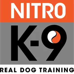 Real Dog Training- Interview with Preslav Kateliev (Part2)