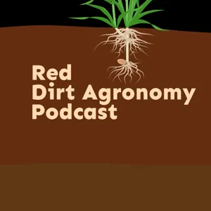 The 2022 Oklahoma Wheat Crop & Planning For The  2023 Crop - RDA Episode 110