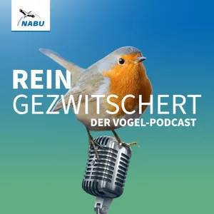 #14 – Vogelfütterung: Das große Fressen