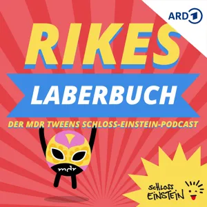 Folge: Lernstress