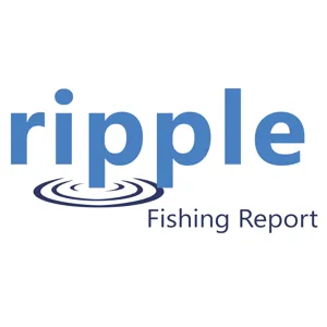 Pensacola Report: Shallow Water Redfish