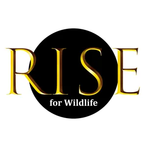 RISE for Wildlife - The Possum Drop