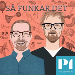 Avsnitt 86: Det slarvas med fastan