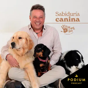 Educa a tu perro para que no se coma todo