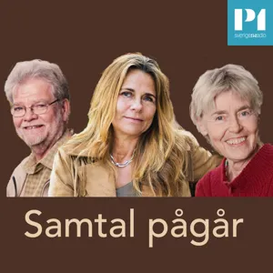 Bengt Ohlsson - en sorgsen man - i samtal med Katarina Hahr