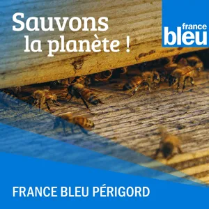 La biodiversité en sursis