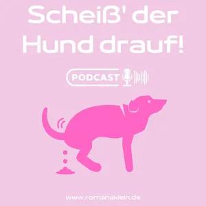 SDHD Folge 6 - Vorsätze stressen!