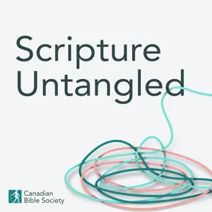 Trailer | S5: Ep 3 | Cardinal Collins | A Cardinal's View on the Positive Effects of Reading Scripture