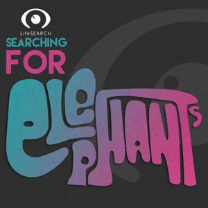 The LifeSearch Awards Winner's Podcast