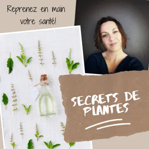 La pâquerette: l'anti-âge de votre jardin