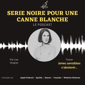 Série noire pour une canne blanche - Les mystères du RER