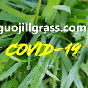 【Severe_COVID-19_ Recovery_guojillgrass.com】