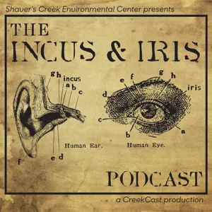 Animal Tracking — Incus & Iris Podcast Episode 1