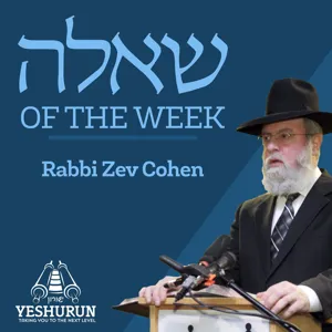 Shaylah of the Week - Matana Al Minas Lehachzir