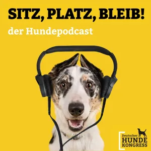 #2 Interview Sami El-Ayachi -Hundetrainer und Longierexperte