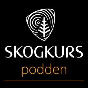 Skogsmaskinen – skogbrukets Formel1