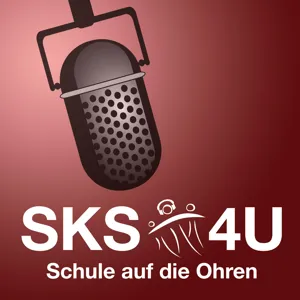 SKS Talk mit MdL Dr. Dennis Maelzer