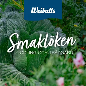 Naturen som medicin