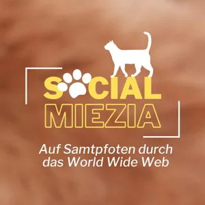 #4 Auslandstierschutz - Straßenkatzen auf Zypern mit Birga Dexel