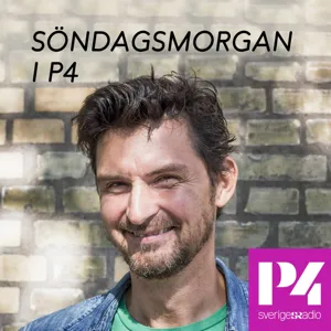 Lärdomar från året som gått