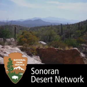 Uplands Monitoring at Gila Cliff Dwellings National Monument, 2009